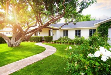 Homestead Exemption – New Law